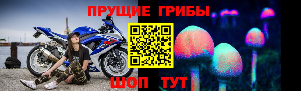Псилоцибиновые грибы мицелий  Вход с VPN  Улан-Удэ 